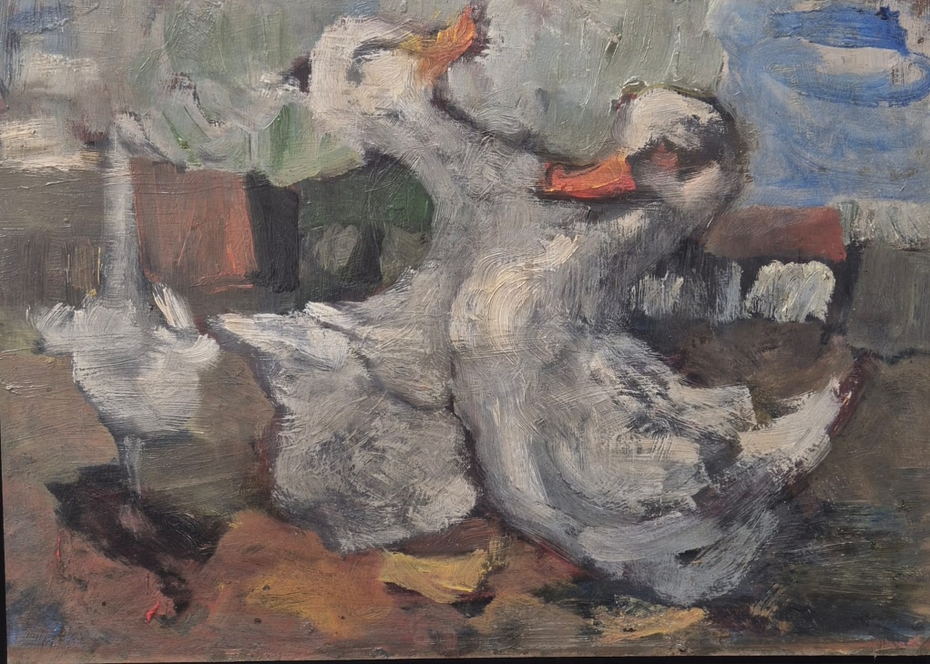 קופפרמן נדירה