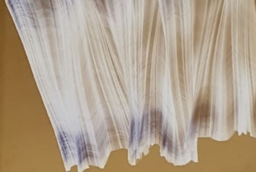 כבסה מרים אמנית ישראלית חשובה