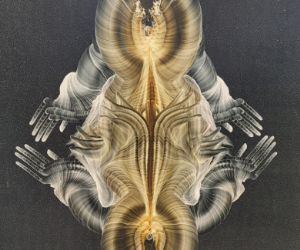 כבסה מרים אמנית ישראלית חשובה