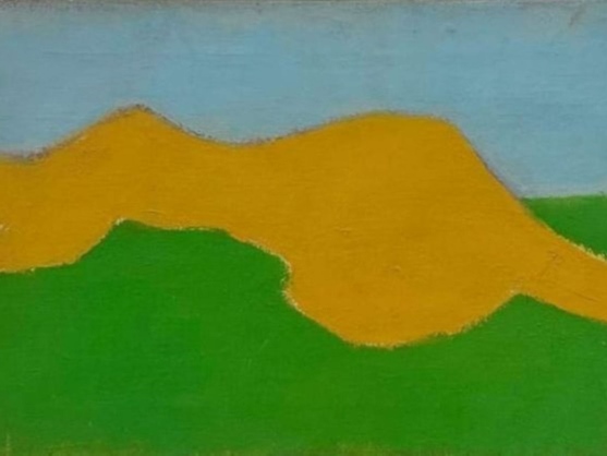 אורי רייזמן - נוף אישה